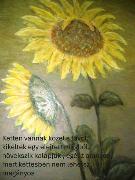 kep_12.jpg