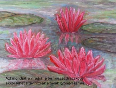 tavak gyöngye kep_37.jpg