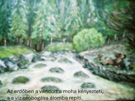 kep_6.